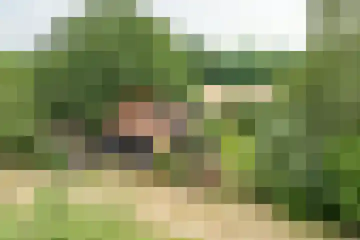 Brandligtswijk 104 Elim thumbnail 43