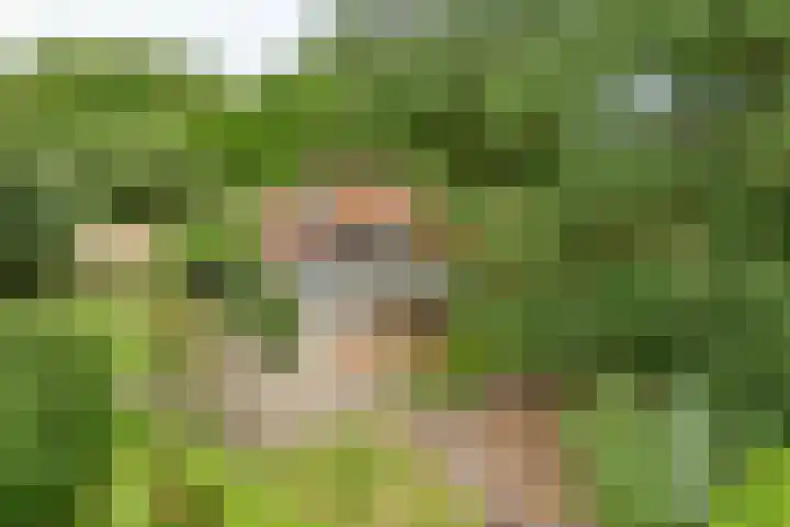 Brandligtswijk 104 Elim thumbnail 44
