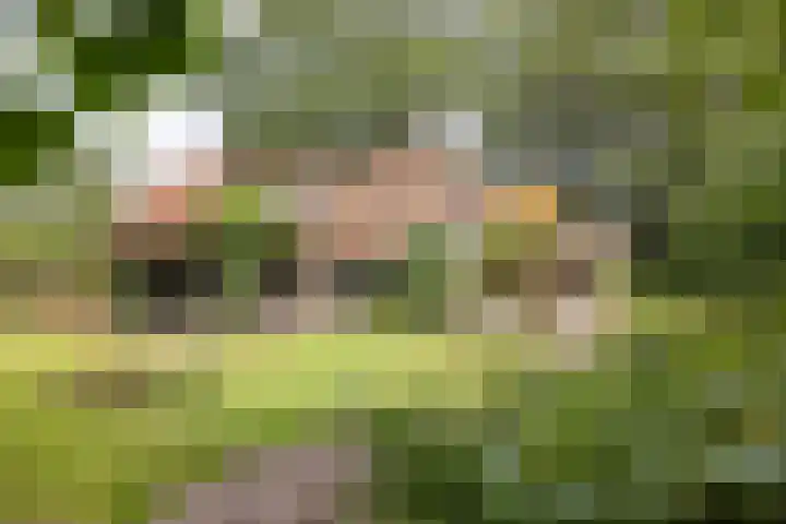 Brandligtswijk 104 Elim thumbnail 47