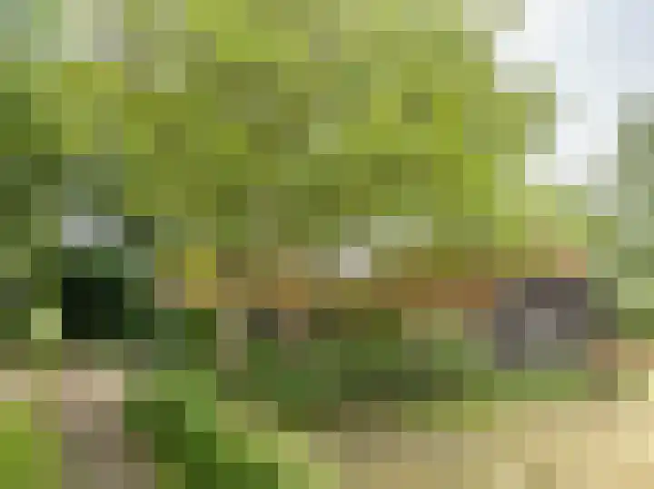 Brandligtswijk 104 Elim thumbnail 51