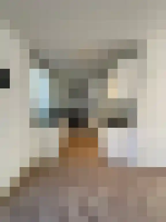 Brandnetel 15 Zwaag thumbnail 6