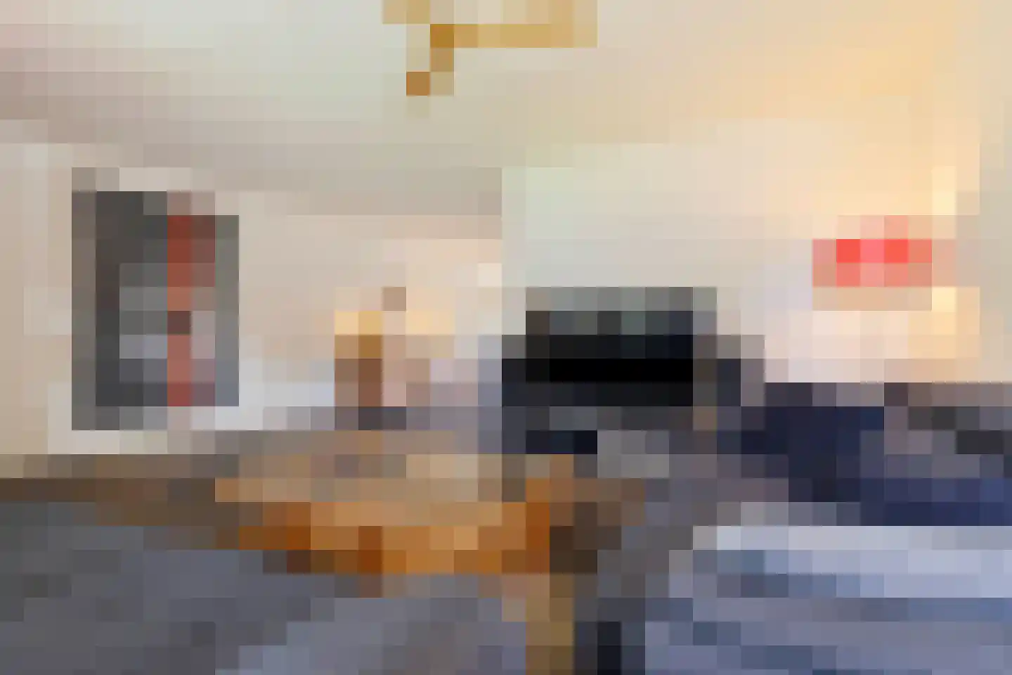 Brandnetel 23 Venlo thumbnail 11