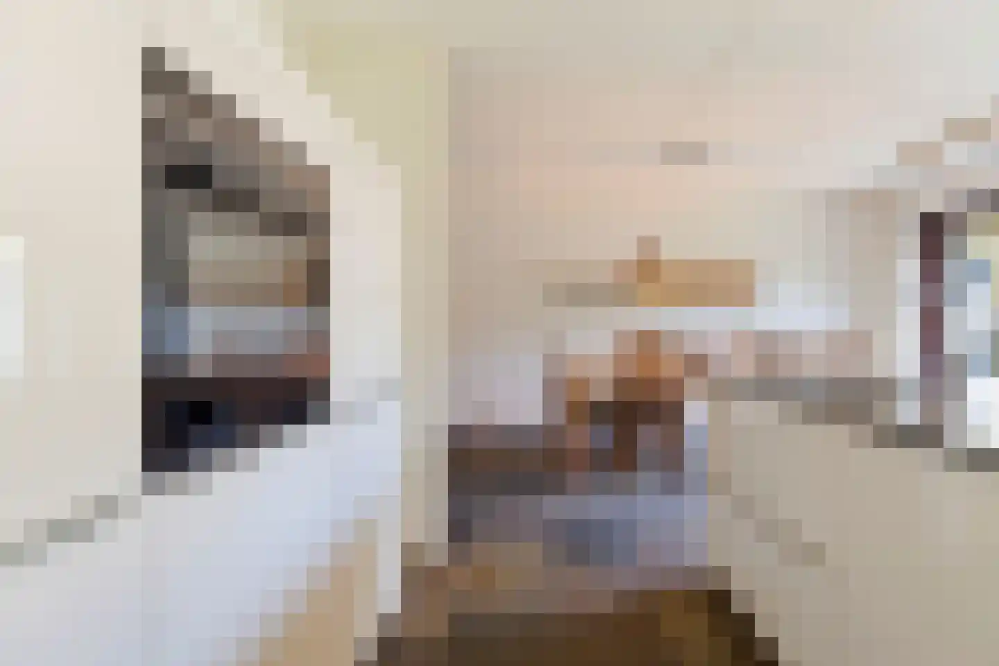 Brandnetel 23 Venlo thumbnail 20