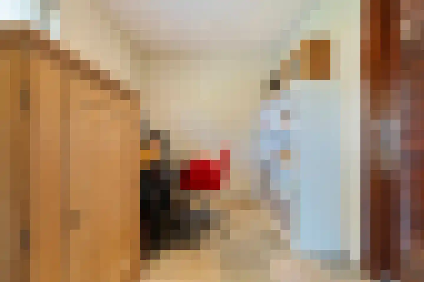Brandnetel 23 Venlo thumbnail 25
