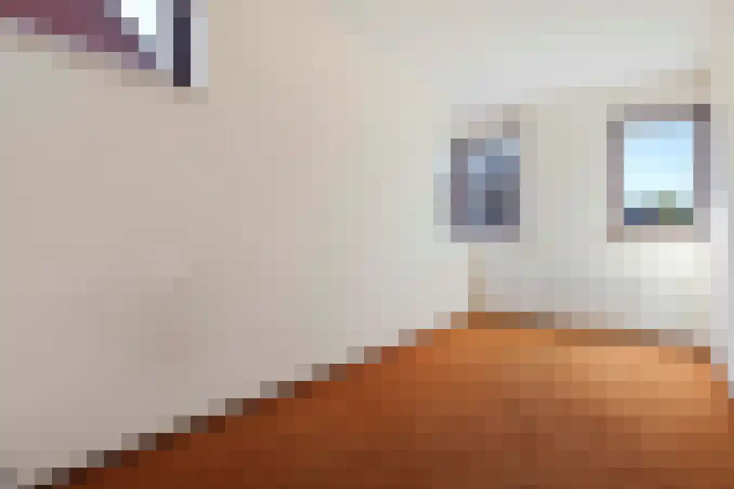 Brandnetel 23 Venlo thumbnail 30
