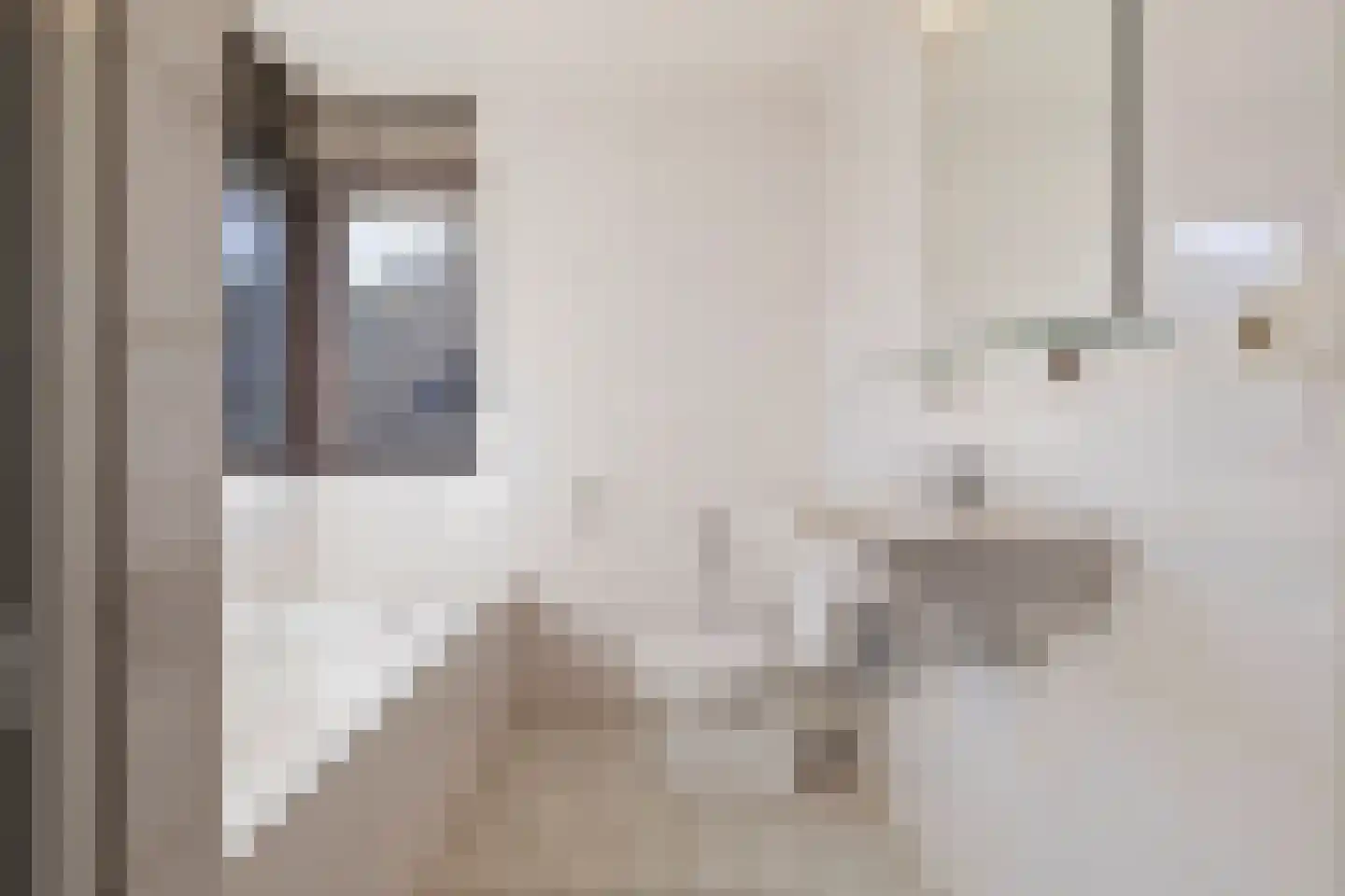 Brandnetel 23 Venlo thumbnail 33