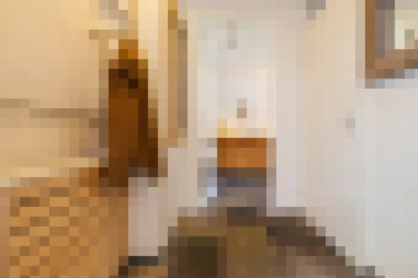 Brandnetel 23 Venlo thumbnail 5