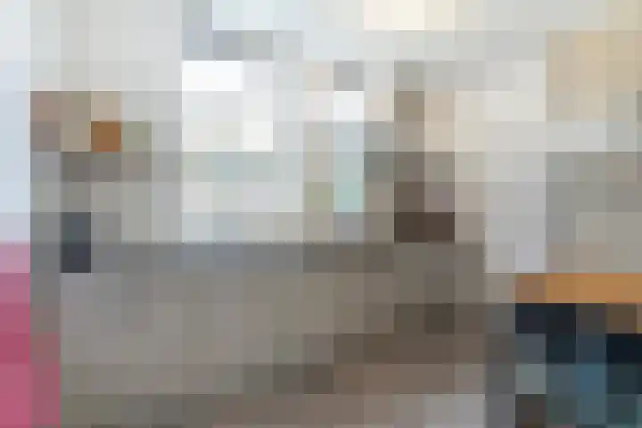 Brandnetel 73 Zwaag thumbnail 10