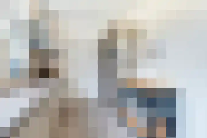 Brandnetel 73 Zwaag thumbnail 11