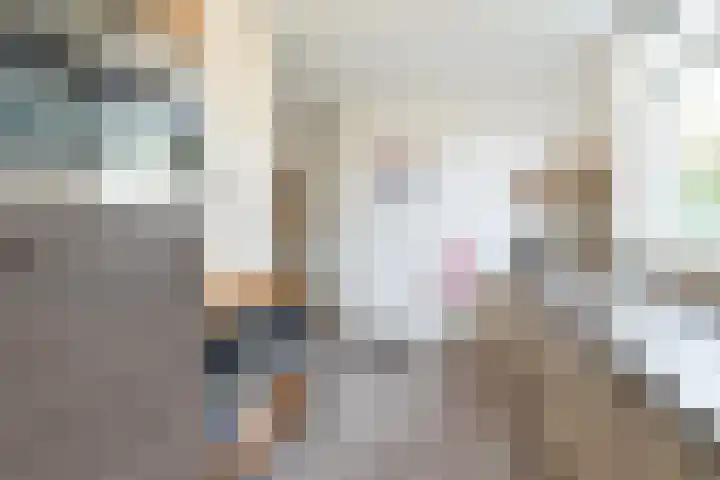 Brandnetel 73 Zwaag thumbnail 13