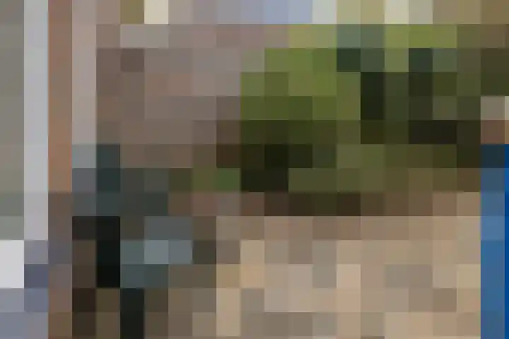 Brandnetel 73 Zwaag thumbnail 14
