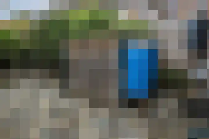 Brandnetel 73 Zwaag thumbnail 15