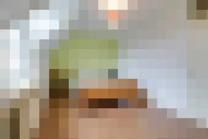 Brandnetel 73 Zwaag thumbnail 21