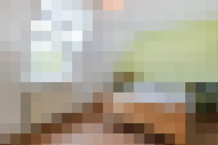 Brandnetel 73 Zwaag thumbnail 22