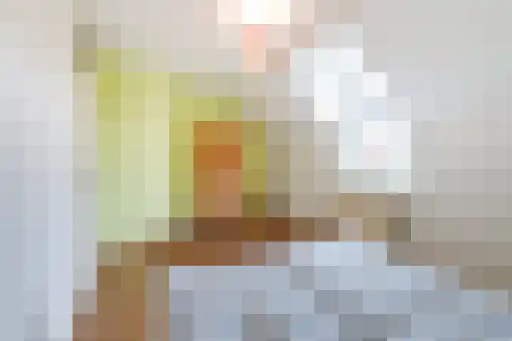 Brandnetel 73 Zwaag thumbnail 23