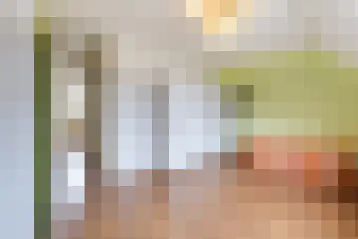 Brandnetel 73 Zwaag thumbnail 26
