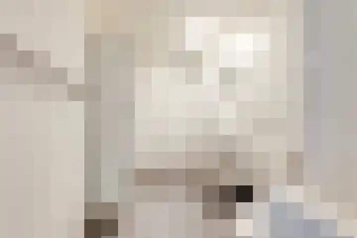 Brandnetel 73 Zwaag thumbnail 28