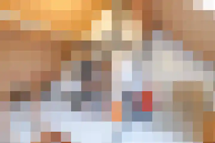 Brandnetel 73 Zwaag thumbnail 34