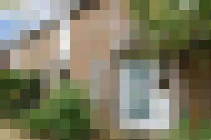 Brandnetel 73 Zwaag thumbnail 36