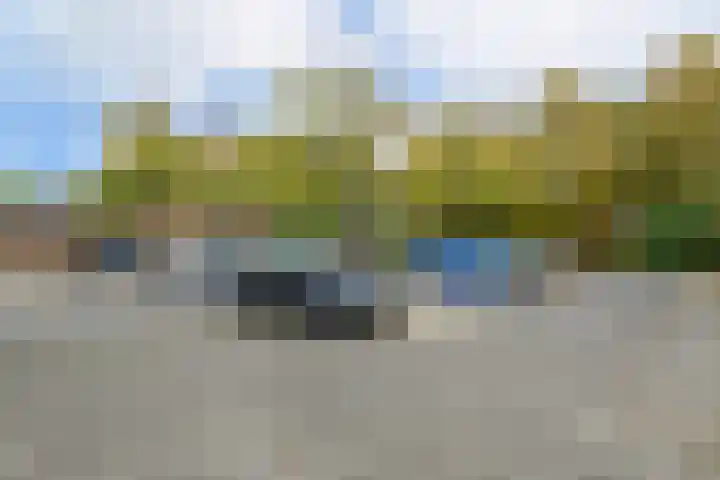 Brandnetel 73 Zwaag thumbnail 37
