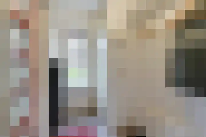 Brandnetel 73 Zwaag thumbnail 5