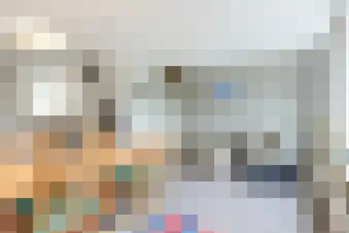 Brandnetel 73 Zwaag thumbnail 7