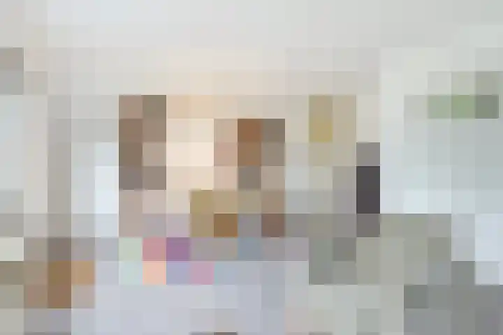 Brandnetel 73 Zwaag thumbnail 8