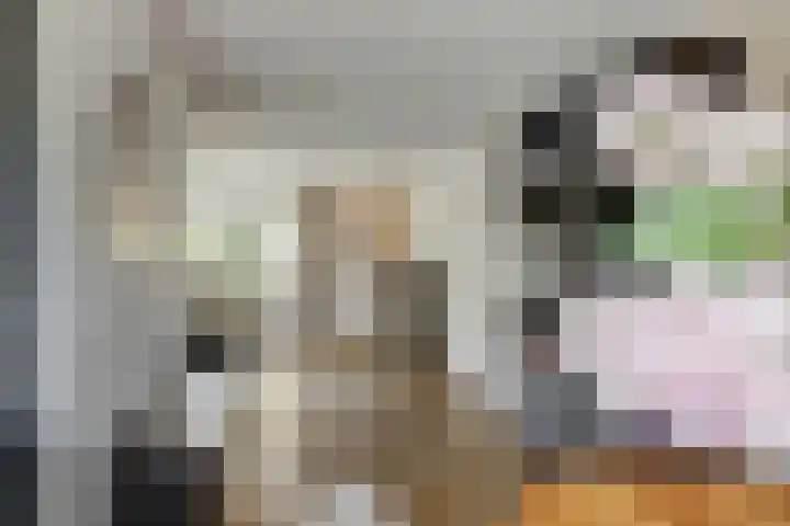 Brandnetel 8 Venlo thumbnail 10