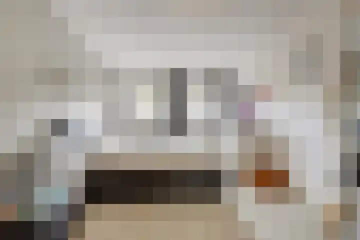 Brandnetel 8 Venlo thumbnail 12
