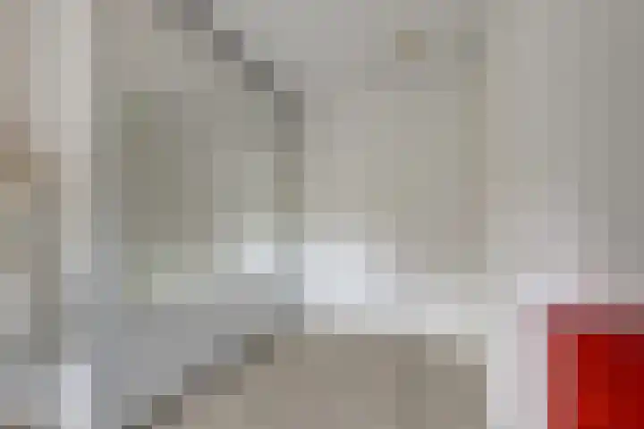 Brandnetel 8 Venlo thumbnail 13