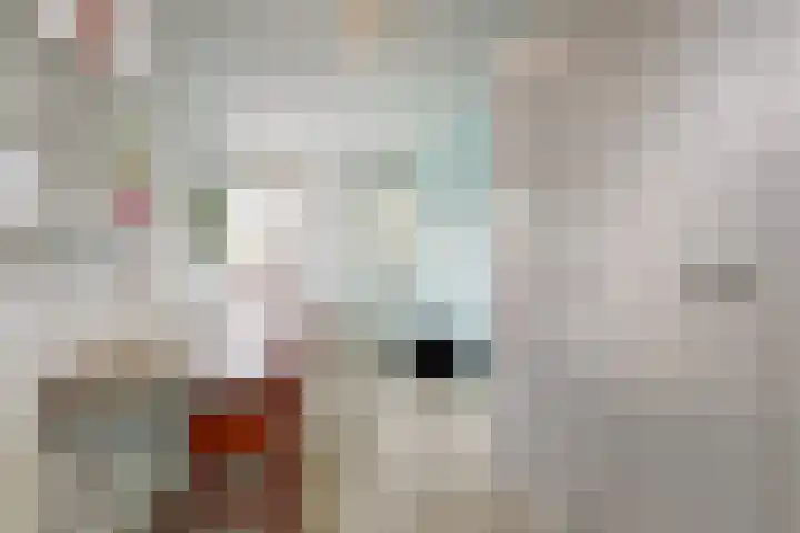 Brandnetel 8 Venlo thumbnail 14