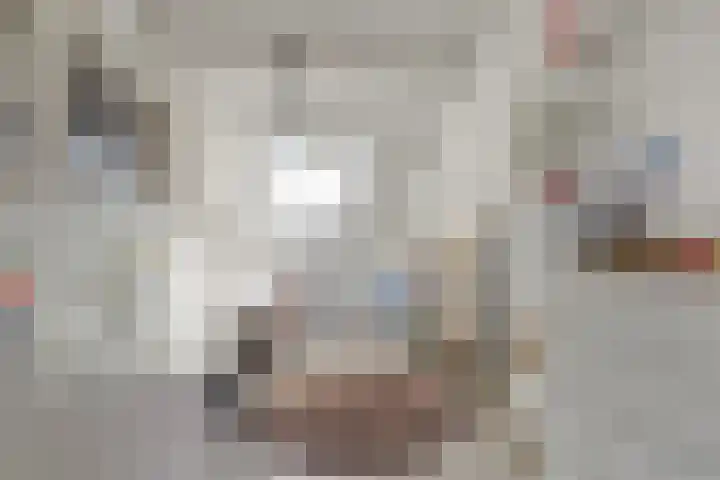 Brandnetel 8 Venlo thumbnail 20