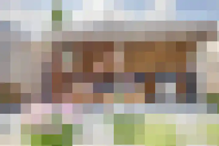 Brandnetel 8 Venlo thumbnail 22