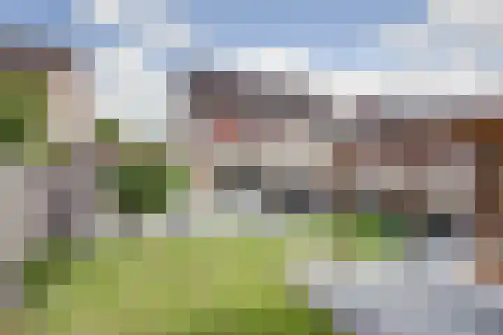 Brandnetel 8 Venlo thumbnail 24