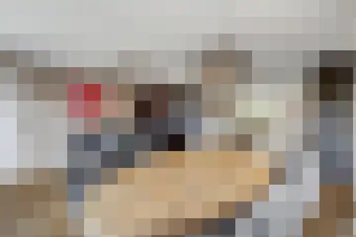 Brandnetel 8 Venlo thumbnail 4
