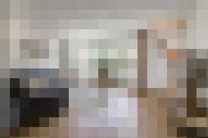 Brandnetel 8 Venlo thumbnail 7