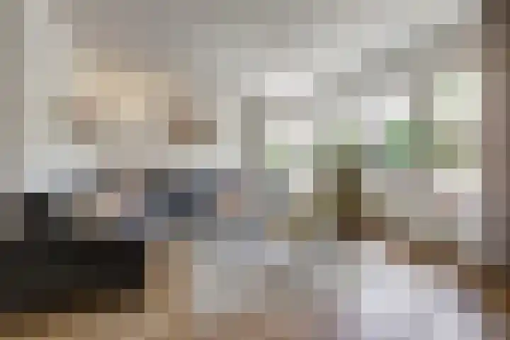 Brandnetel 8 Venlo thumbnail 8