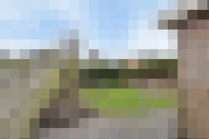 Brandnetellaan 4 Beilen thumbnail 12