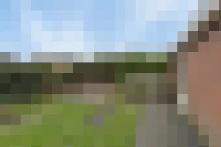 Brandnetellaan 4 Beilen thumbnail 13