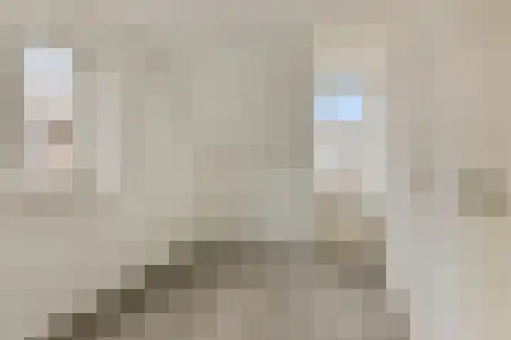 Brandnetellaan 4 Beilen thumbnail 17