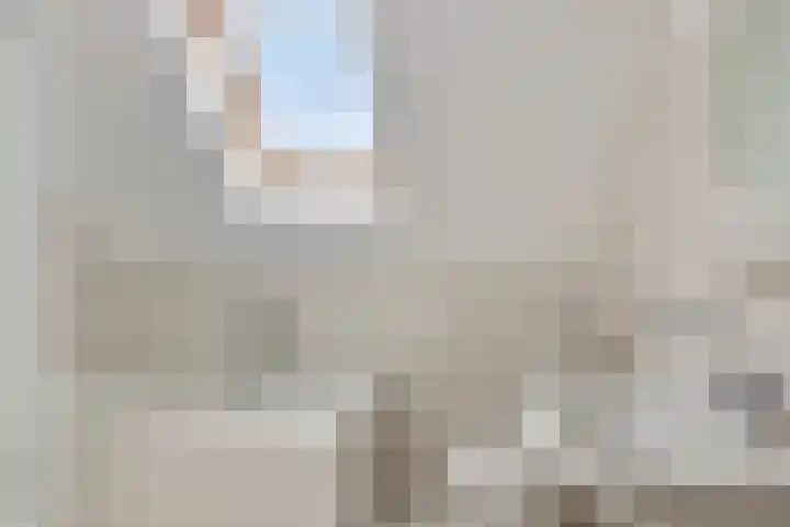 Brandnetellaan 4 Beilen thumbnail 19