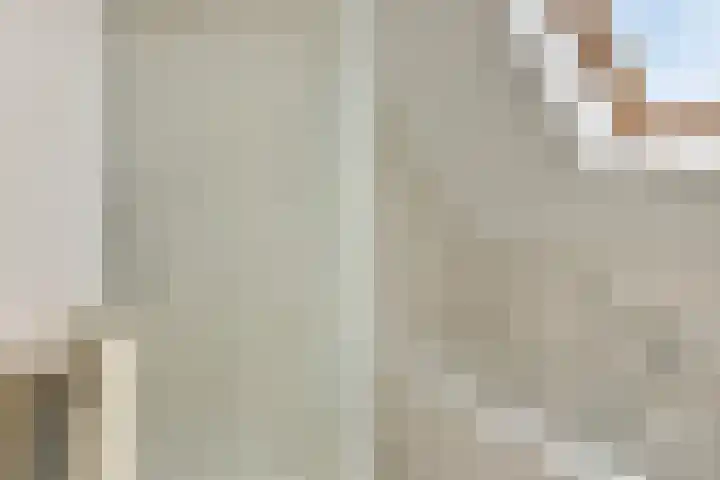 Brandnetellaan 4 Beilen thumbnail 20