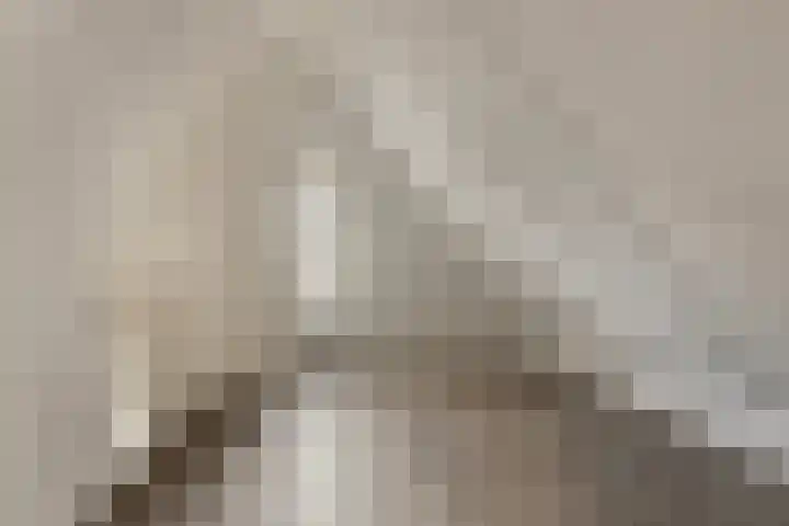 Brandnetellaan 4 Beilen thumbnail 21