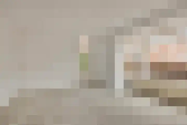 Brandnetellaan 4 Beilen thumbnail 4