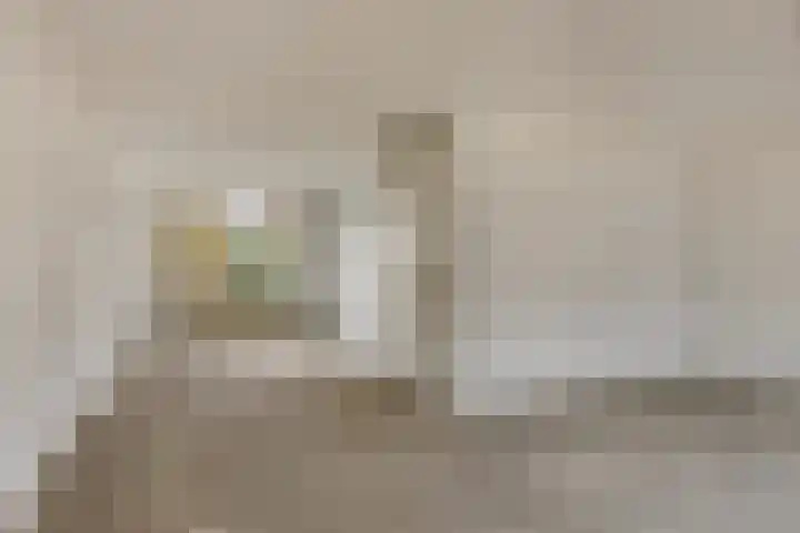 Brandnetellaan 4 Beilen thumbnail 6