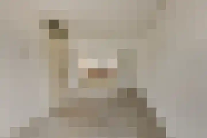 Brandnetellaan 4 Beilen thumbnail 7