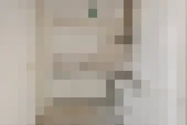 Brandnetellaan 4 Beilen thumbnail 8