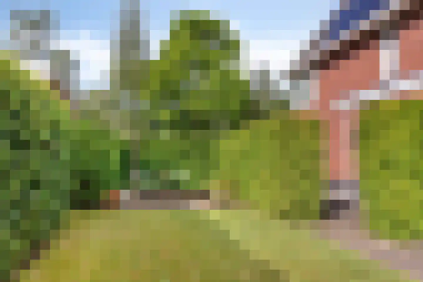 Brandparken 16 Leek thumbnail 30