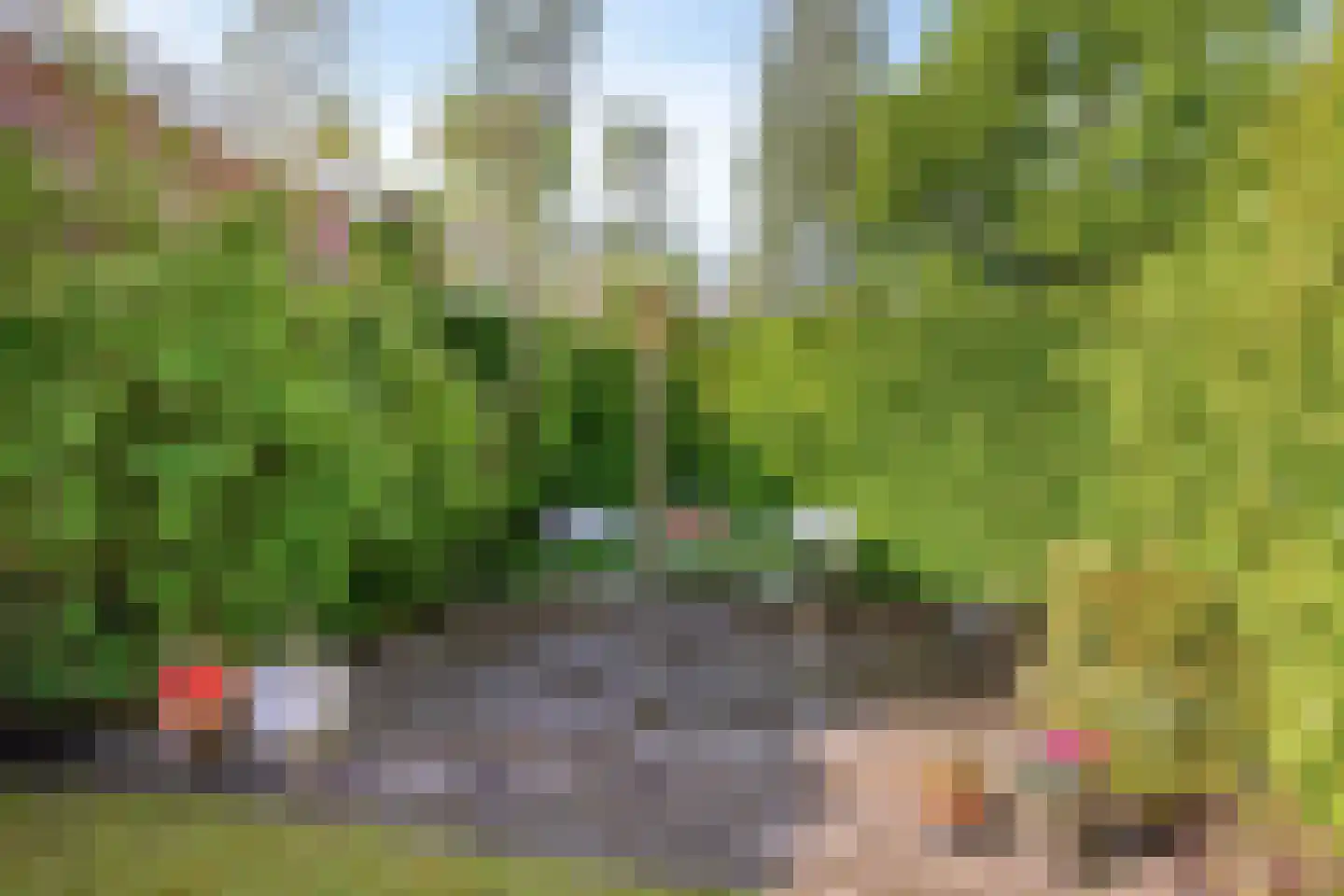 Brandparken 16 Leek thumbnail 31