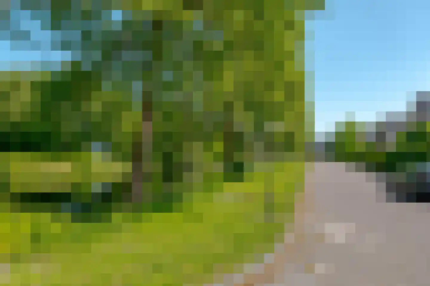 Brandparken 4 Leek thumbnail 12